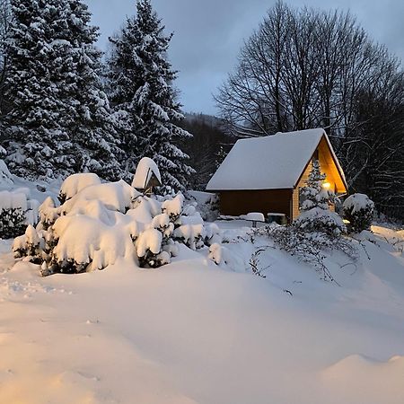Domek Gorski Na Polanie Goryczkowej 700 M Npm - Szczyrk Dojazd Samochodem Terenowym, W Zimie Utrudniony - Wymagane Lancuchy Kültér fotó