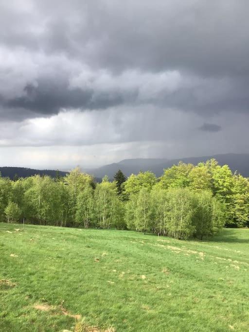 Domek Gorski Na Polanie Goryczkowej 700 M Npm - Szczyrk Dojazd Samochodem Terenowym, W Zimie Utrudniony - Wymagane Lancuchy Kültér fotó